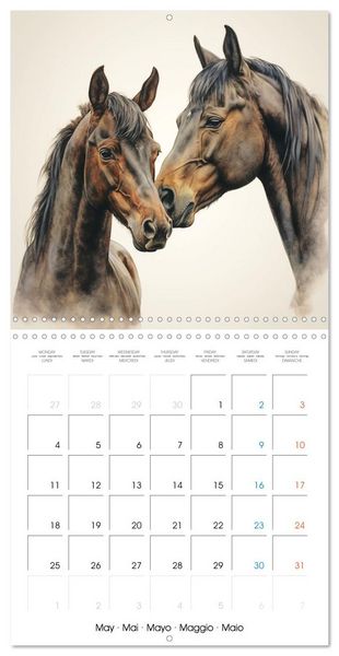 Produktbild: &Eacute;l&eacute;gance &eacute;quine (Calendrier mural carr&eacute; 2026 30x30 cm) Calendrier double avec une page pour vos prises de notes