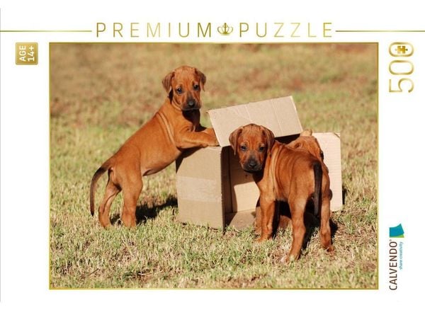 CALVENDO Puzzle Nichts innen | 500 Teile Lege-Größe 48 × 36 cm Foto-Puzzle für Erwachsene