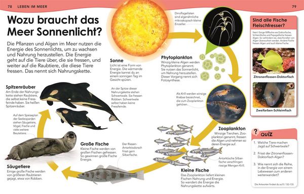 Produktbild: Weshalb? Deshalb! Meere