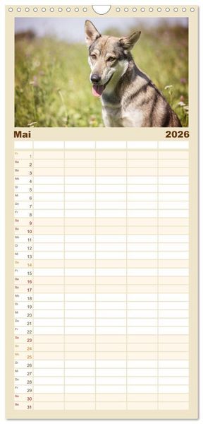 Produktbild: Familienplaner 2026 - Wolfshunde 2026 mit 5 Spalten (Wandkalender, 21 x 45 cm) CALVENDO