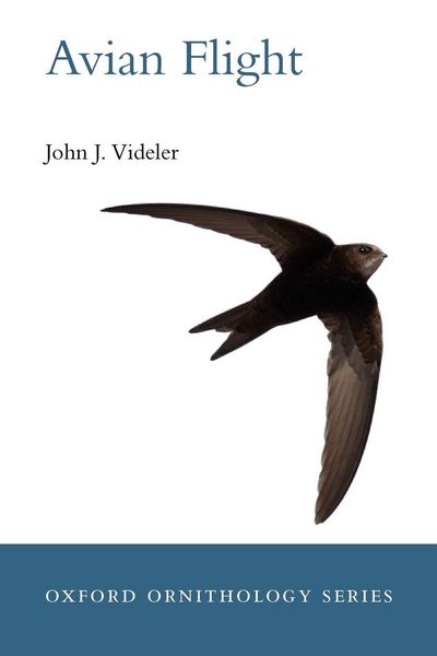 Produktbild: Avian Flight