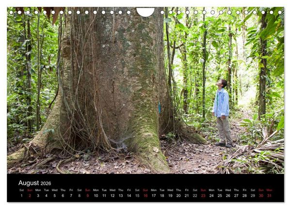Produktbild: Peru - from the Andes to the Amazon / UK-Version (Wall Calendar 2026 DIN A4 landscape), CALVENDO 12 Month Wall Calendar