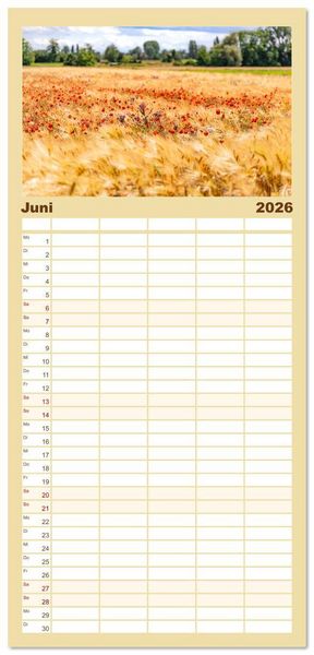 Produktbild: Familienplaner 2026 - Bunter Pf&auml;lzerwald mit 5 Spalten (Wandkalender, 21 x 45 cm) CALVENDO