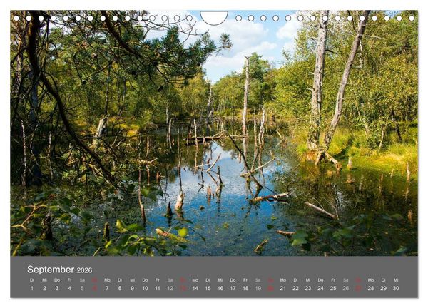 Produktbild: Moor- und Heidelandschaften Niedersachsen (Wandkalender 2026 DIN A4 quer), CALVENDO Monatskalender