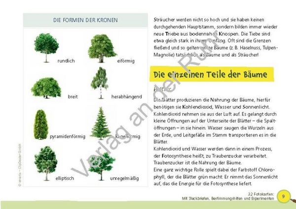 Produktbild: Paket: Heimische B&auml;ume