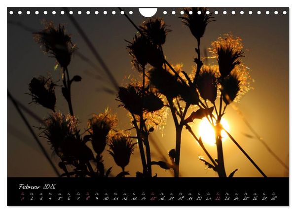 Produktbild: Zeit der Natur - Ein Augenblick zur Ewigkeit (Wandkalender 2026 DIN A4 quer), CALVENDO Monatskalender