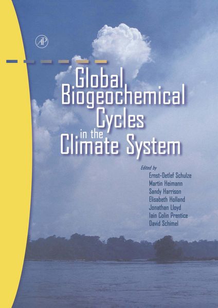 Produktbild: Global Biogeochemical Cycles in the Climate System