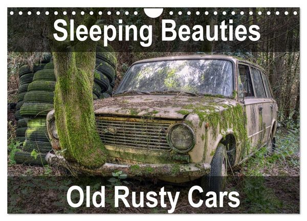 Produktbild: Sleeping Beauties Old Rusty Cars (Wall Calendar 2026 DIN A4 landscape), CALVENDO 12 Month Wall Calendar