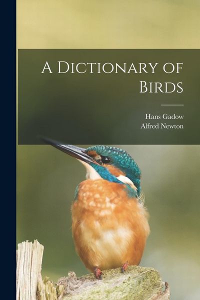 Produktbild: A Dictionary of Birds
