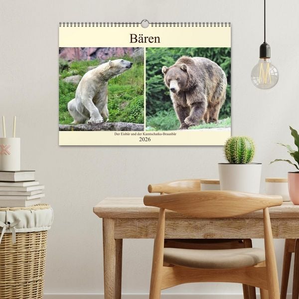 Produktbild: B&auml;ren - Der Eisb&auml;r und der Kamtschatka-Braunb&auml;r (Wandkalender 2026 DIN A3 quer), CALVENDO Monatskalender