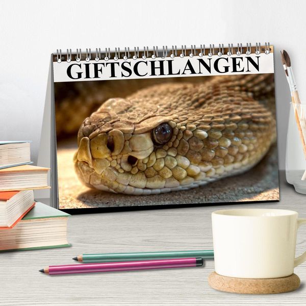 Produktbild: Giftschlangen (Tischkalender 2026 DIN A5 quer), CALVENDO Monatskalender