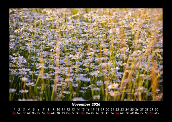 Produktbild: Blumenkalender 2026 Fotokalender DIN A3