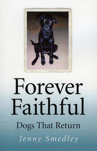 Produktbild: Forever Faithful