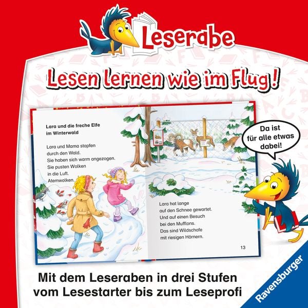 Leserabe Sonderausgaben - Adventskalender für Erstleser