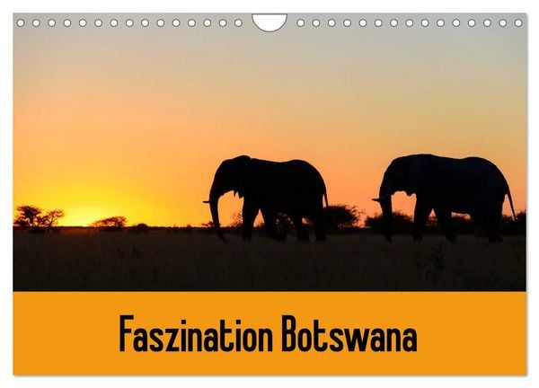 Produktbild: Faszination Botswana (Wandkalender 2026 DIN A4 quer), CALVENDO Monatskalender