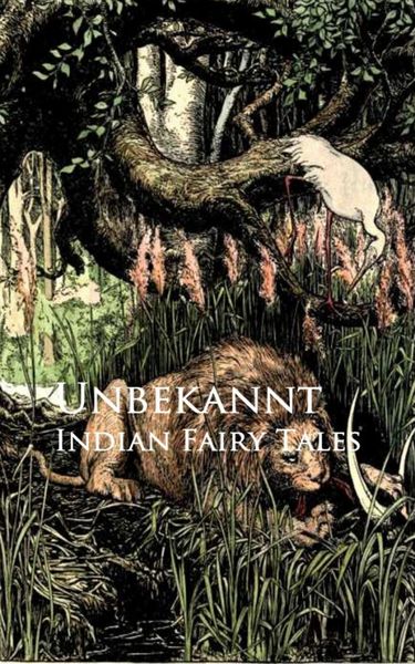 Produktbild: Indian Fairy Tales