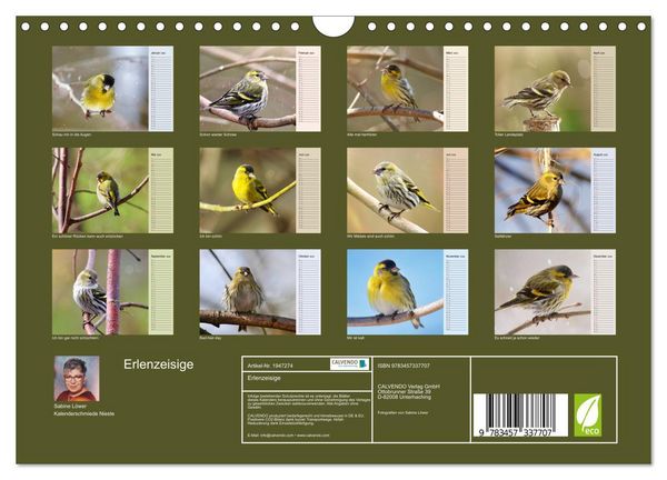 Produktbild: Erlenzeisige (Wandkalender 2026 DIN A4 quer), CALVENDO Monatskalender