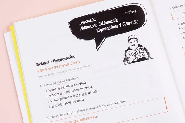 Produktbild: Talk To Me In Korean Workbook - Level 8