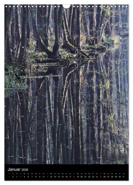 Produktbild: Wunderbarer Spreewald (Wandkalender 2026 DIN A3 hoch), CALVENDO Monatskalender