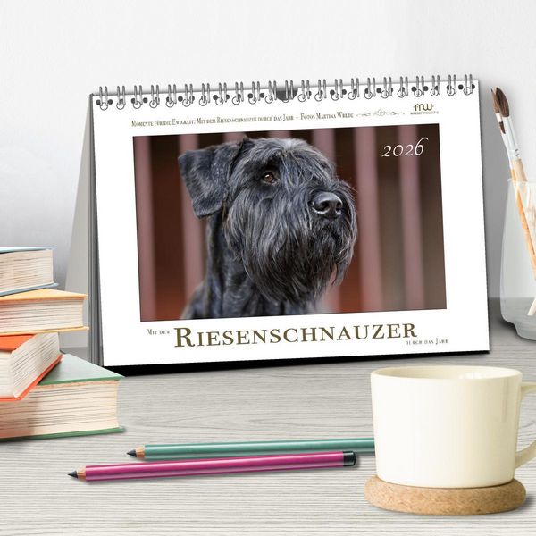 Produktbild: Mit dem Riesenschnauzer durch das Jahr (Tischkalender 2026 DIN A5 quer), CALVENDO Monatskalender