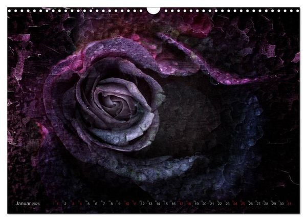 Produktbild: Gothic Rose - Rosen aus dem Garten der Finsternis (Wandkalender 2026 DIN A3 quer), CALVENDO Monatskalender