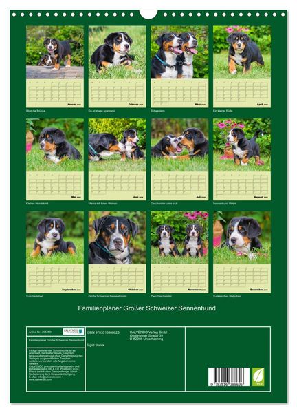 Produktbild: Familienplaner Gro&szlig;er Schweizer Sennenhund (Wandkalender 2026 DIN A3 hoch), CALVENDO Monatskalender