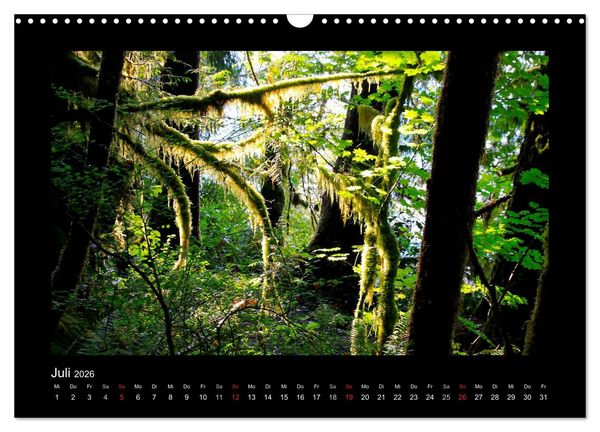 Produktbild: W&auml;lder, fotografiert auf vier Kontinenten (Wandkalender 2026 DIN A3 quer), CALVENDO Monatskalender