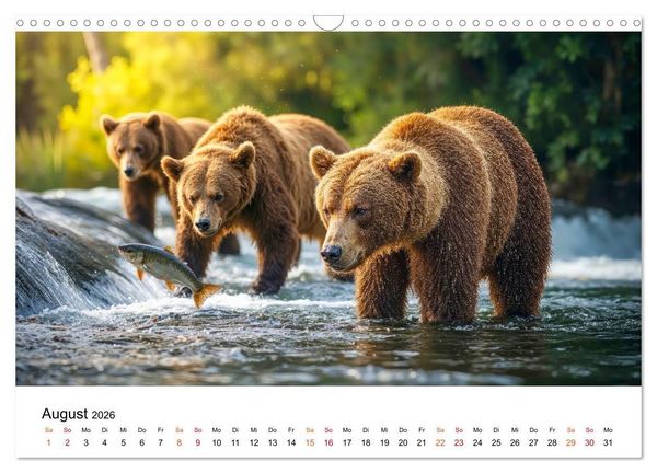 Produktbild: B&auml;ren - Die Macht der Natur (Wandkalender 2026 DIN A3 quer), CALVENDO Monatskalender