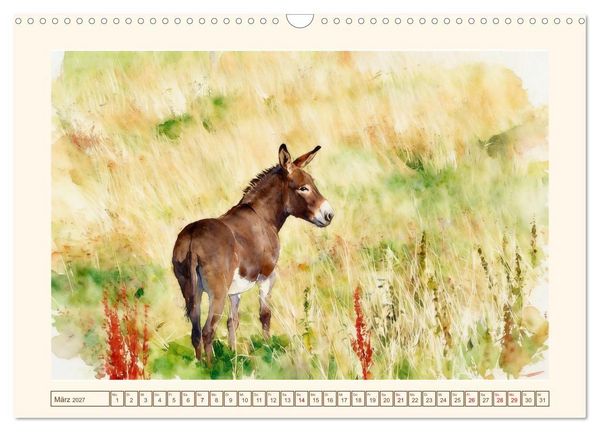 Produktbild: Esel - Treue Begleiter seit &uuml;ber 5000 Jahren (Wandkalender 2027 DIN A3 quer), CALVENDO Monatskalender