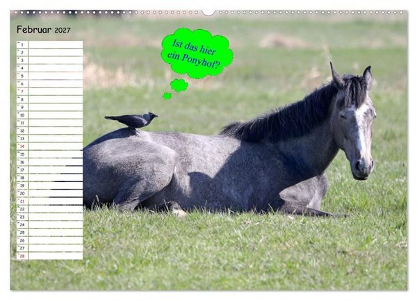 Produktbild: Wenn Tiere Sprechen k&ouml;nnten! Der lustige Spr&uuml;che Geburtstagskalender (Wandkalender 2027 DIN A2 quer), CALVENDO Monatskalender
