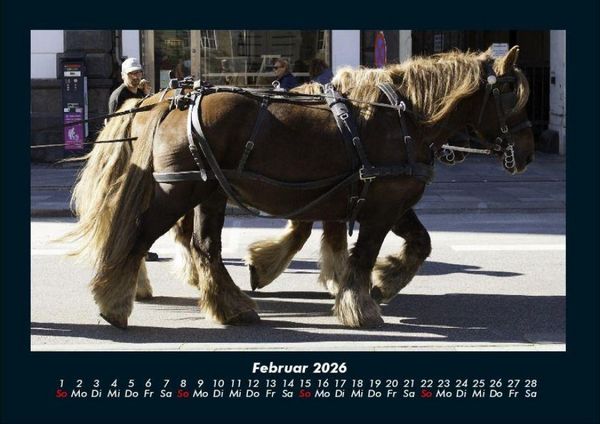 Produktbild: Pferdegefl&uuml;ster 2026 Fotokalender DIN A4