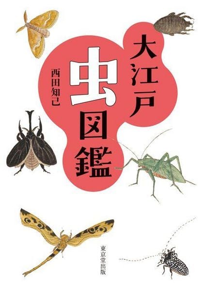 Produktbild: The Illustrated Guide to Insects of EDO