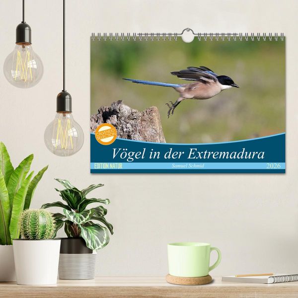 Produktbild: V&ouml;gel in der Extremadura (Wandkalender 2026 DIN A4 quer), CALVENDO Monatskalender