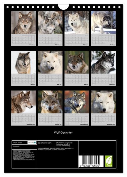 Produktbild: Wolf-Gesichter (Wandkalender 2026 DIN A4 hoch), CALVENDO Monatskalender