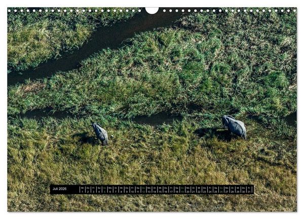 Produktbild: Afrikas Tierwelt - Wilde Elefanten (Wandkalender 2026 DIN A3 quer), CALVENDO Monatskalender