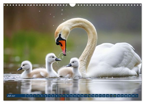Produktbild: Tierkinder der L&uuml;fte - Vogelwelt (Wandkalender 2027 DIN A3 quer), CALVENDO Monatskalender