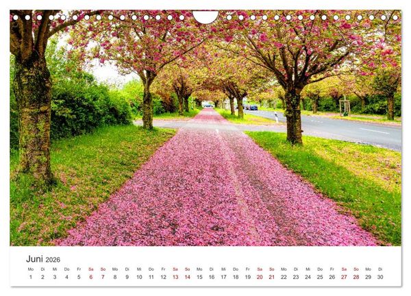 Produktbild: Deutschland: Magdeburg, Stadtansichten und Umgebung (Wandkalender 2026 DIN A4 quer), CALVENDO Monatskalender