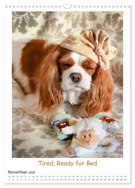 Produktbild: The Adventurous Life of two Daring Cavaliers (Wall Calendar 2026 DIN A3 portrait), CALVENDO 12 Month Wall Calendar