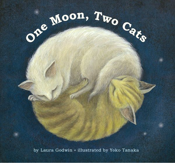 Produktbild: One Moon, Two Cats