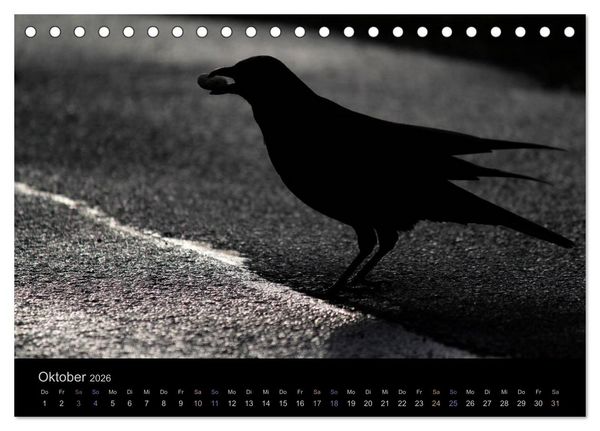 Produktbild: Rabenschwarze Impressionen - meike-ajo-dettlaff.de via wildvogelhlfe.org (Tischkalender 2026 DIN A5 quer), CALVENDO Monatskalender
