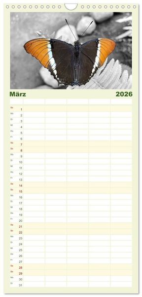 Produktbild: Familienplaner 2026 - Gefl&uuml;gelte Sch&ouml;nheiten der Tropen mit 5 Spalten (Wandkalender, 21 x 45 cm) CALVENDO
