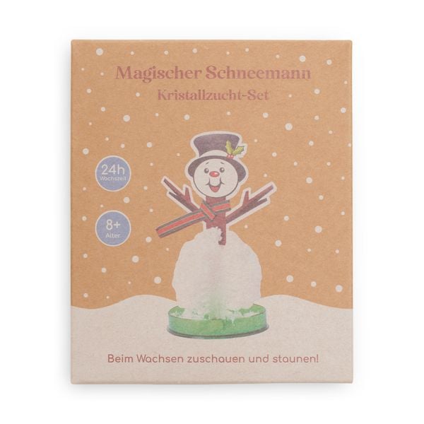 Produktbild: DIY Kristall-Schneemann