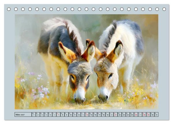 Produktbild: Zwergesel. Kleine Langohren mit gro&szlig;em Charme (Tischkalender 2027 DIN A5 quer), CALVENDO Monatskalender