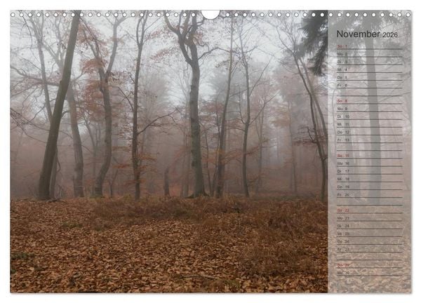 Produktbild: Unser Wald - Magische Sichten in norddeutsche W&auml;lder / Geburtstagskalender (Wandkalender 2026 DIN A3 quer), CALVENDO Monatskalender
