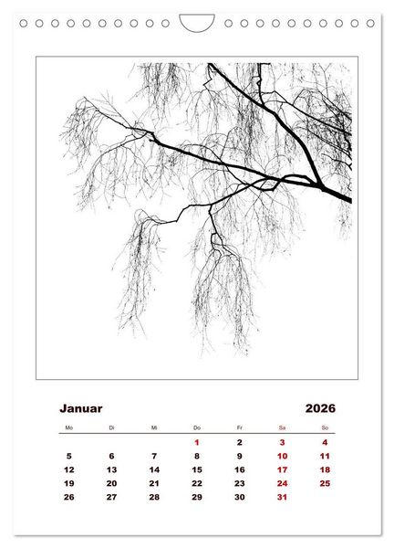 Produktbild: LignoGrafica - Muster und Strukturen der B&auml;ume (Wandkalender 2026 DIN A4 hoch), CALVENDO Monatskalender