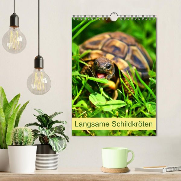 Produktbild: Langsame Schildkr&ouml;ten (Wandkalender 2026 DIN A4 hoch), CALVENDO Monatskalender
