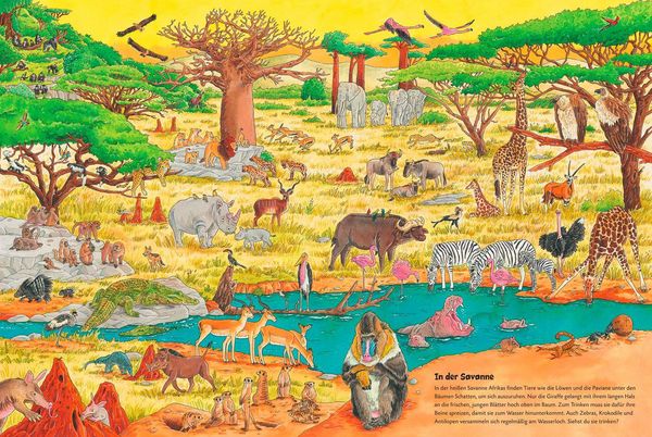 Produktbild: Duden 24+: Igel, Frosch & Elefant: Das gro&szlig;e Wimmelbuch der Tiere