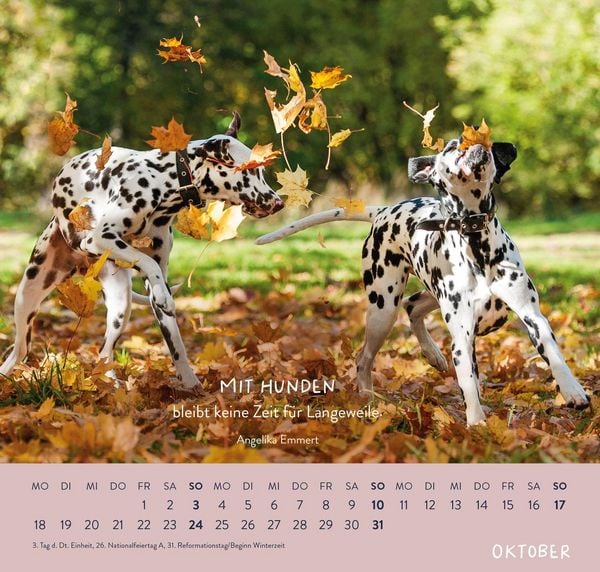 Produktbild: Wandkalender 2027: F&uuml;r Hundefreunde