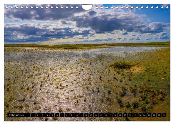 Produktbild: Einzigartige Strandansichten auf Amrum (Wandkalender 2026 DIN A4 quer), CALVENDO Monatskalender