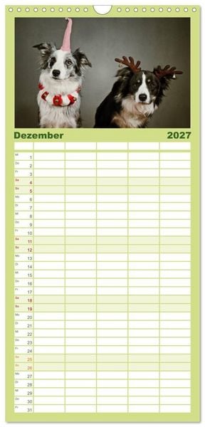 Produktbild: Familienplaner 2027 - Der Bordercollie-Kalender mit 5 Spalten (Wandkalender, 21 x 45 cm) CALVENDO